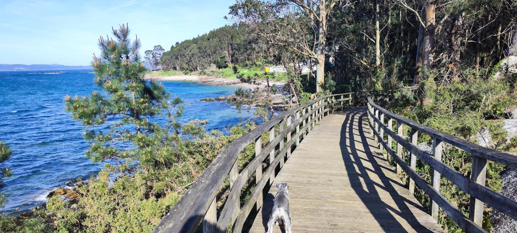 Apartamento El Rincon De Elia, Haz Realidad Tu Sueno De Vivir Con Vistas Al Mar Villanueva De Arosa Εξωτερικό φωτογραφία